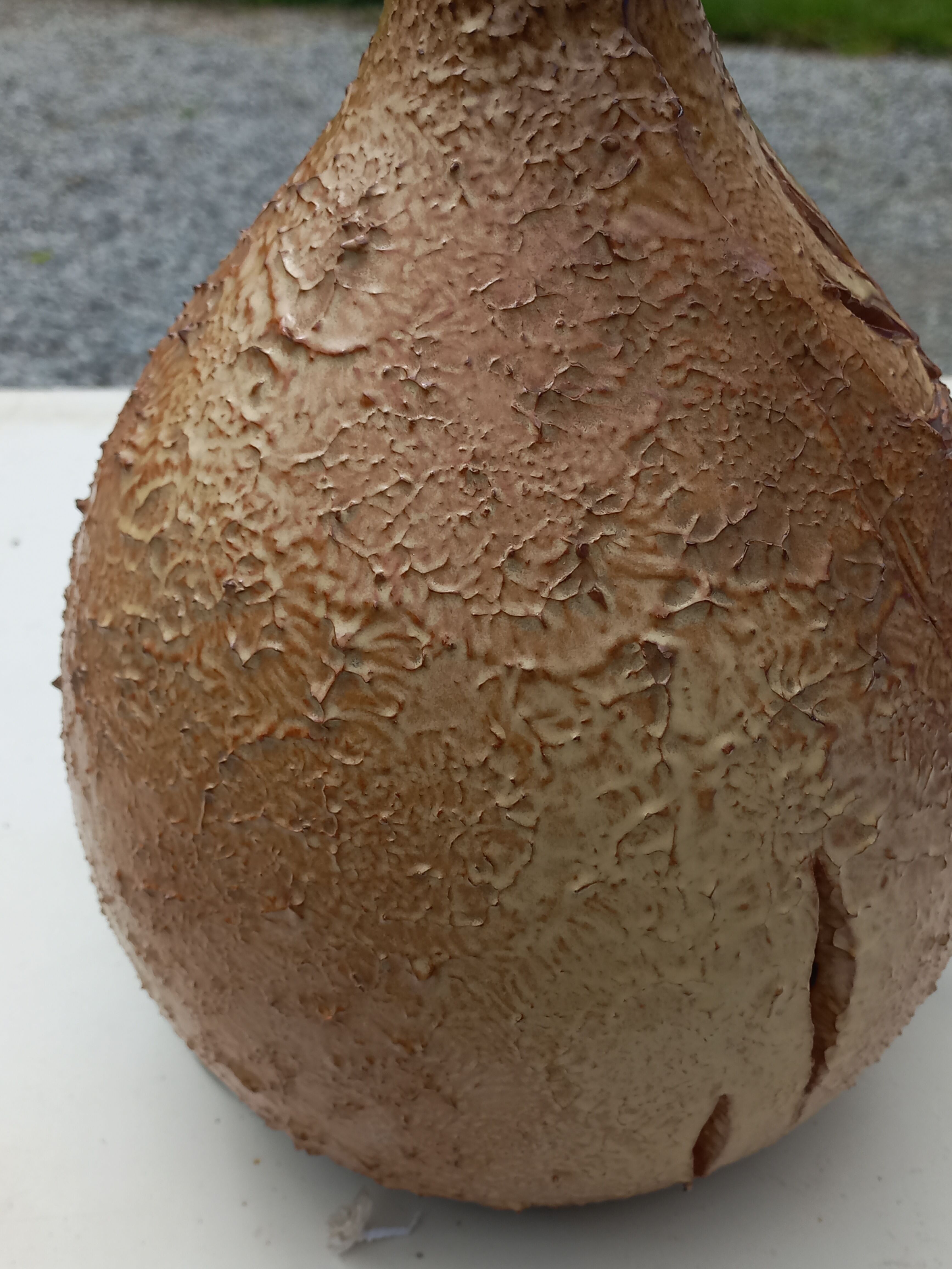 Ceramic lamp by Vallauris Fonck and Matéo lampshade of origin