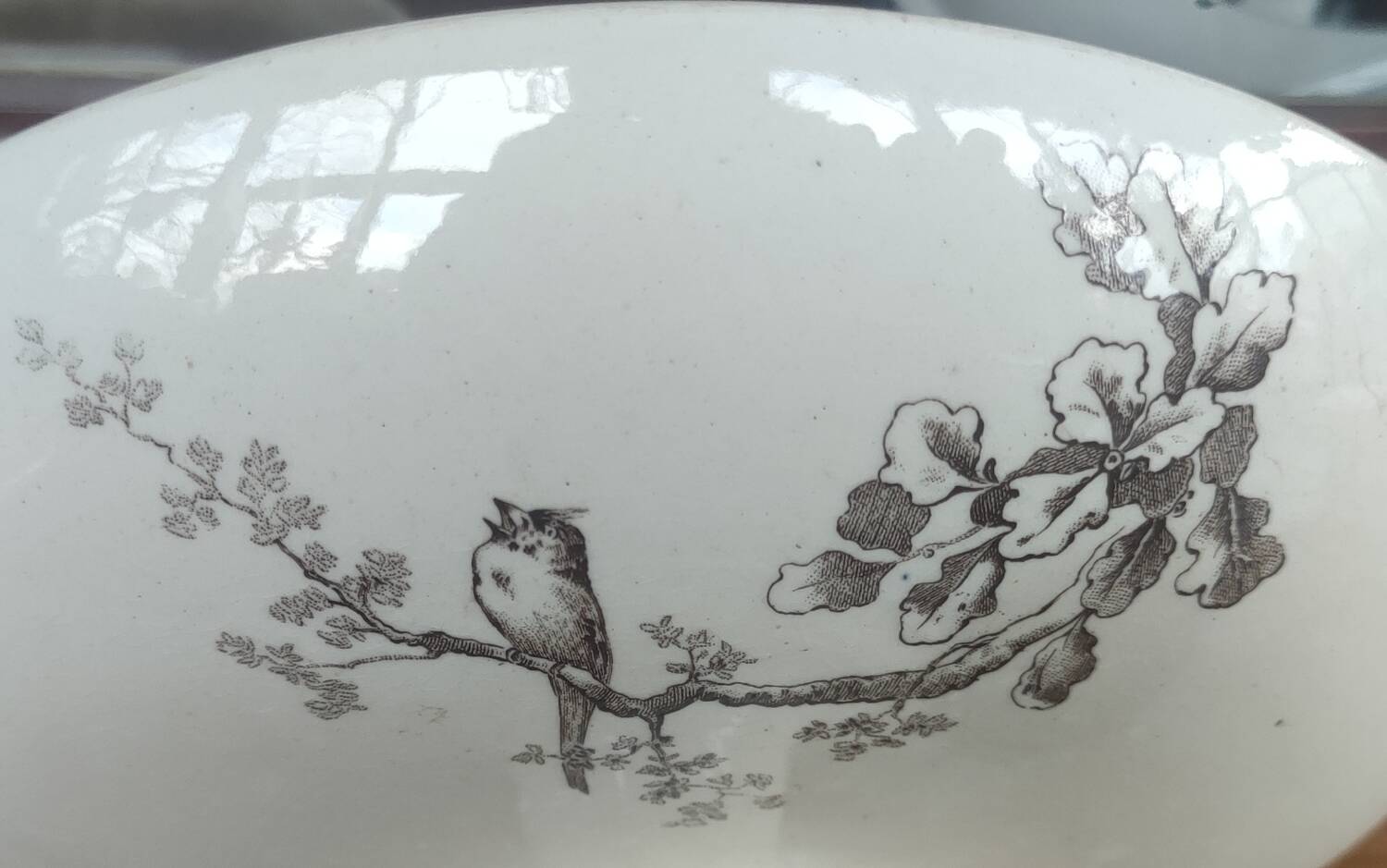 Old fruit bowl terre de fer hb & cie/sepia