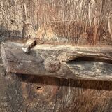 Ancient teak door from Orissa