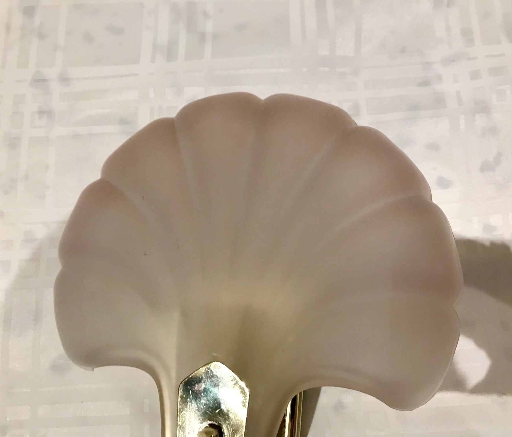 Pair of shell sconces
