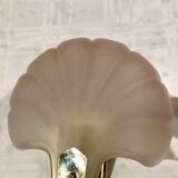 Pair of shell sconces