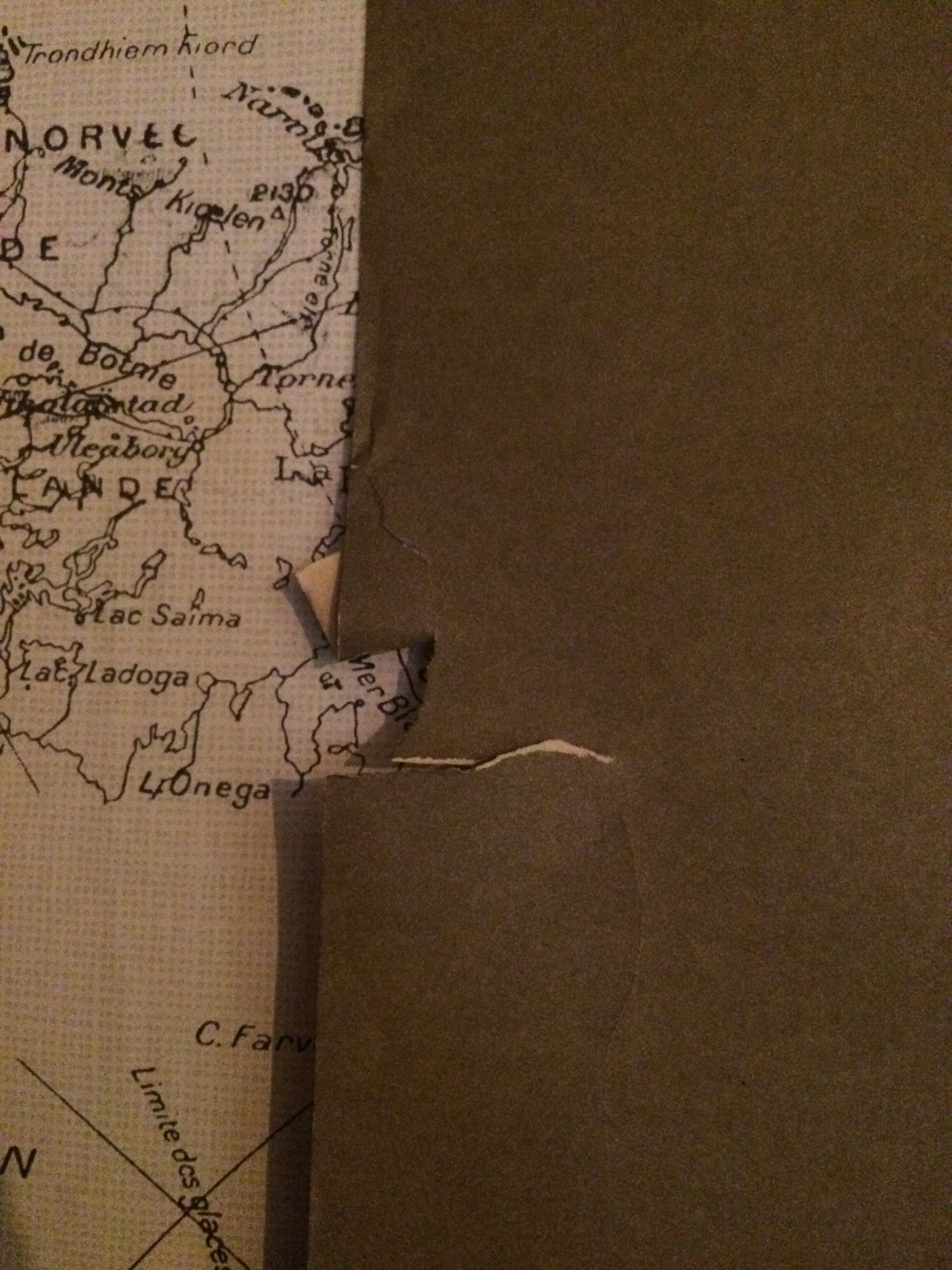 Snoopy poster "enough"