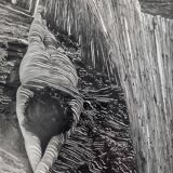 Vintage silver gelatin photography study of a reclining nude, signed and framed, 42x52 cm.