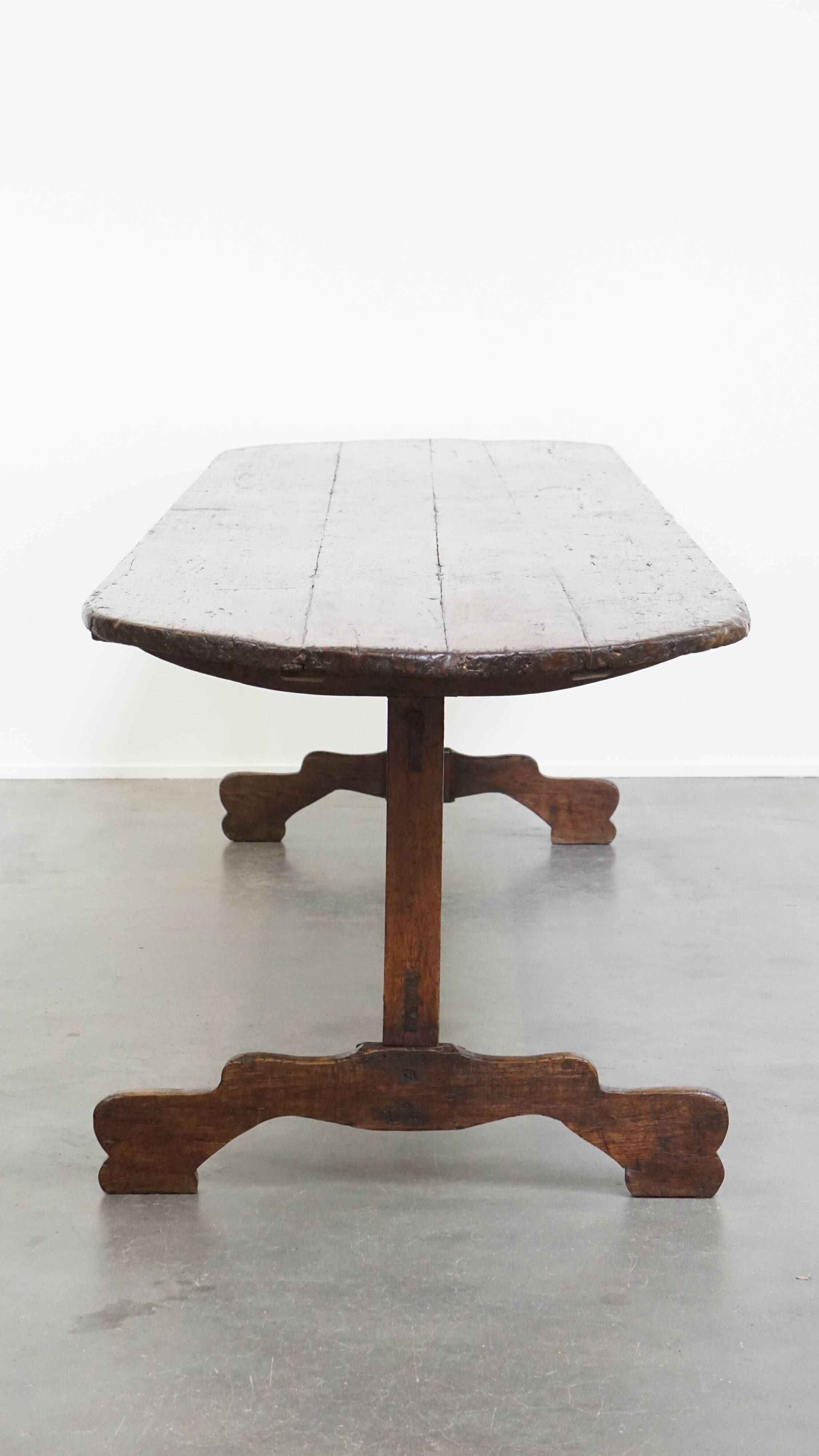 Antique XXL dining table made of poplar wood from the 18th century