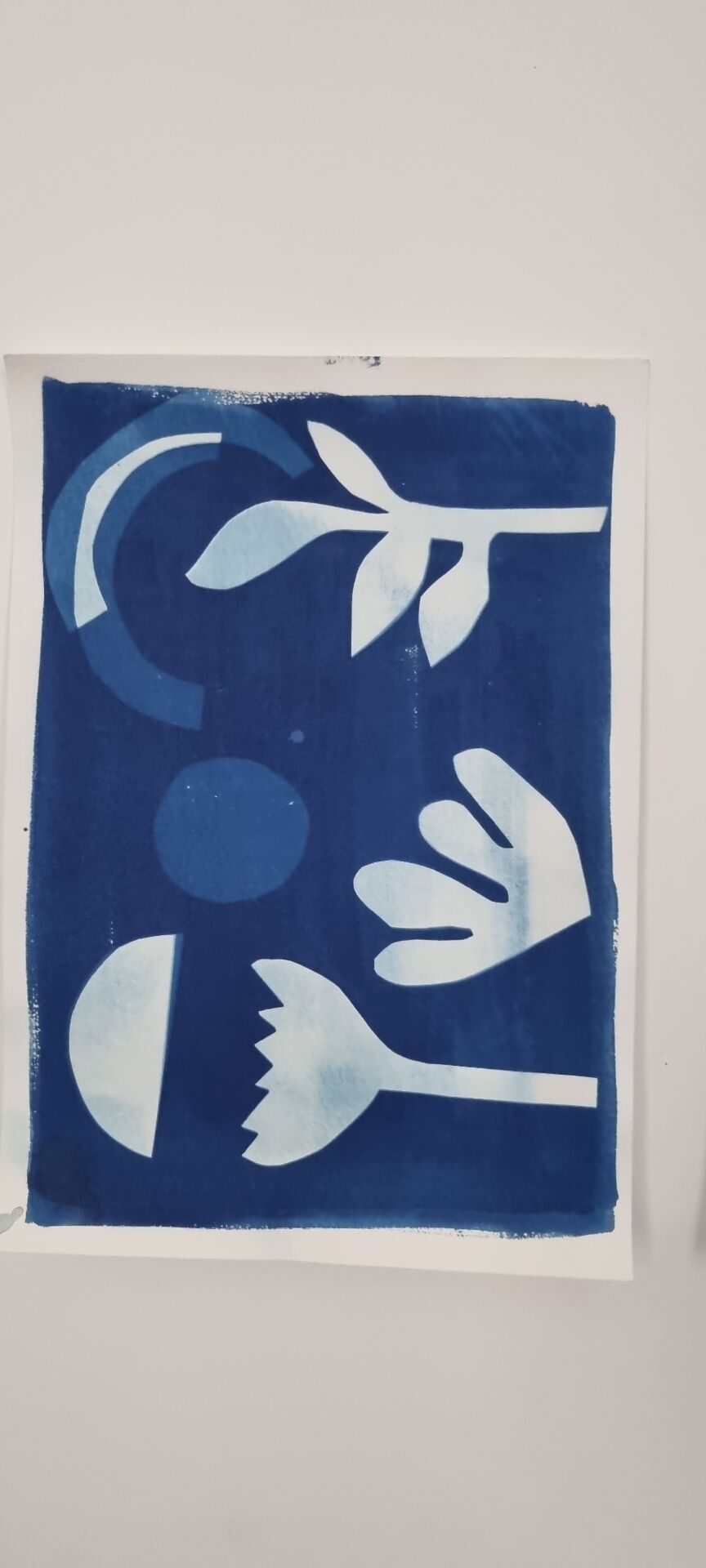 Cyanotype wall decor
