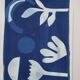 Cyanotype wall decor