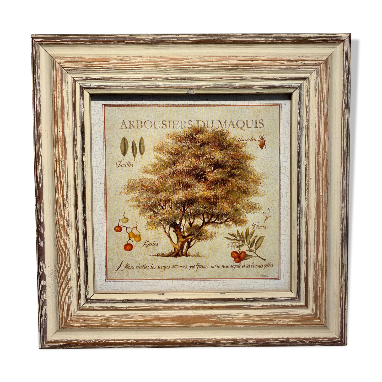 Botanical painting, arbutus trees of the maquis, XXI century