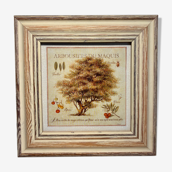 Botanical painting, arbutus trees of the maquis, XXI century