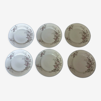 Series of six porcelain plates from Paris old Paris XIXth floral decoration