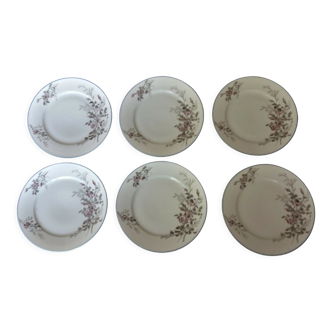 Series of six porcelain plates from Paris old Paris XIXth floral decoration