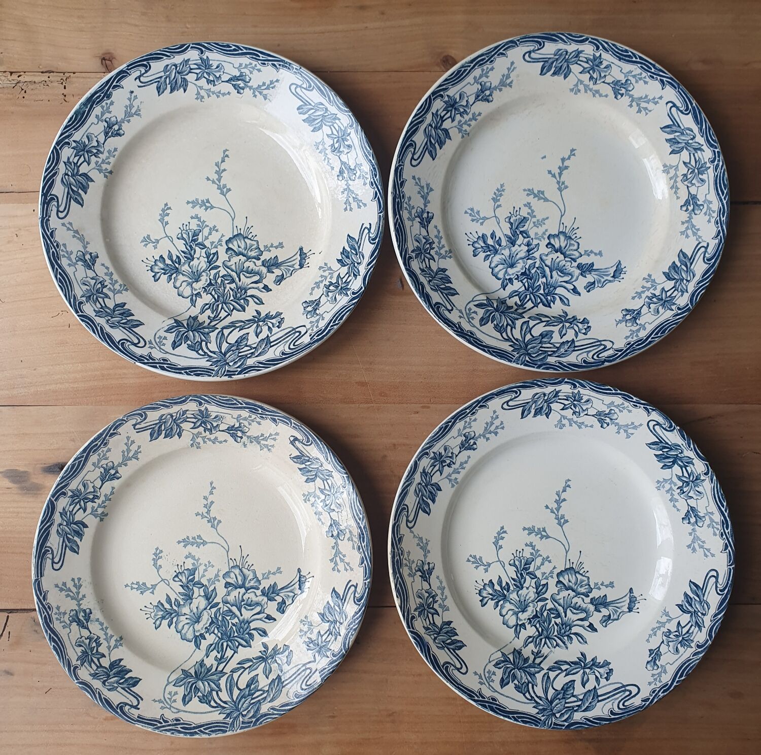 Longwy Azalea plates
