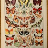 Reserved Laurence - Lot of 3 20th century lithos