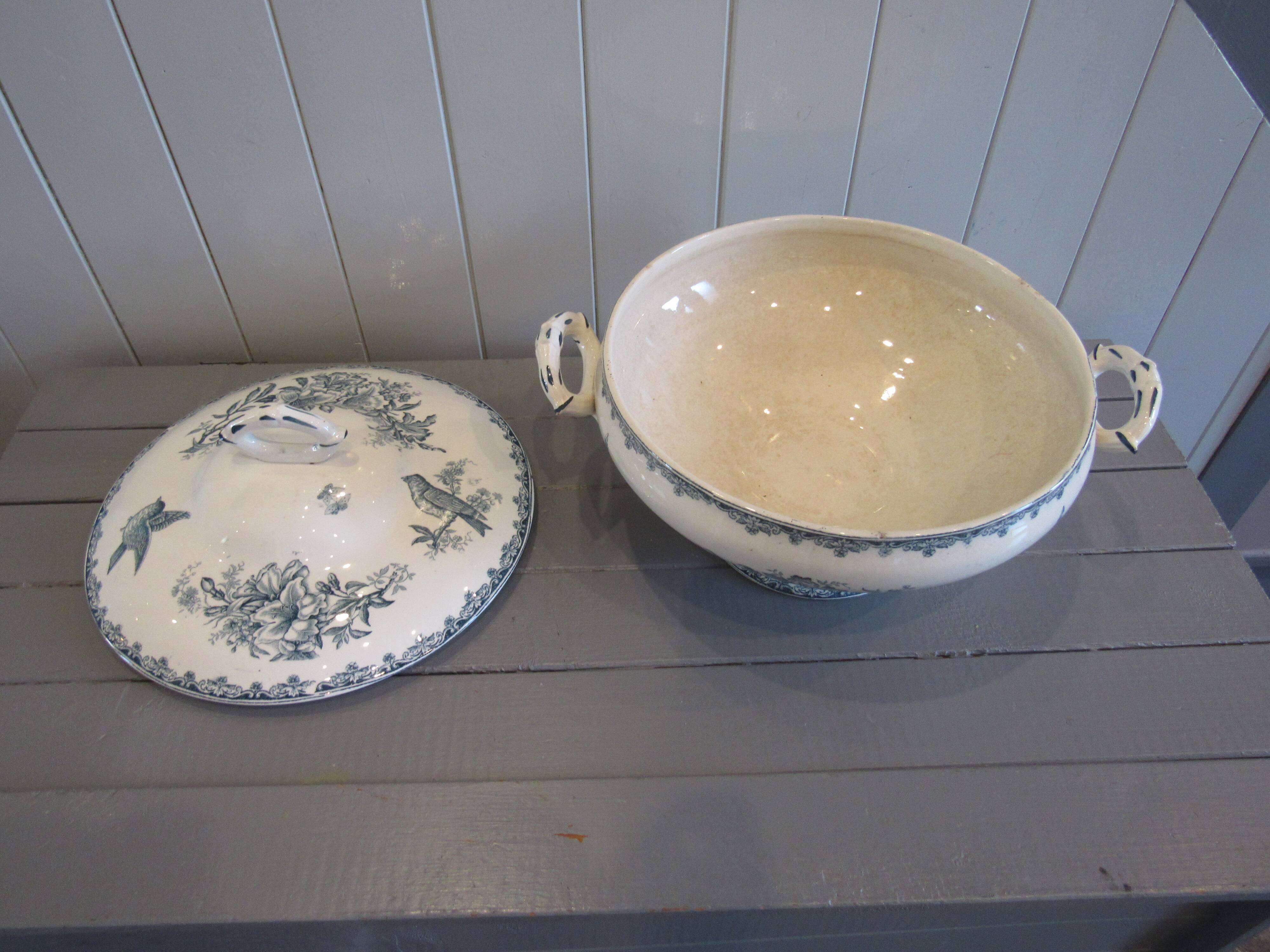 Tierra del Fuego Bengali model