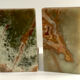 Onyx book clambands