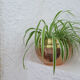 Cache pot cuivre et laiton