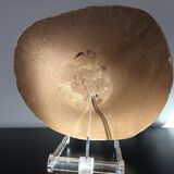 Decorative cutting ceramic, 1986