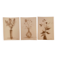 Lot de 3 tableaux nature morte vases fleurs séchées style Wabi Sabi