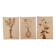 Lot de 3 tableaux nature morte vases fleurs séchées style Wabi Sabi
