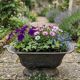 Antique cast iron planter
