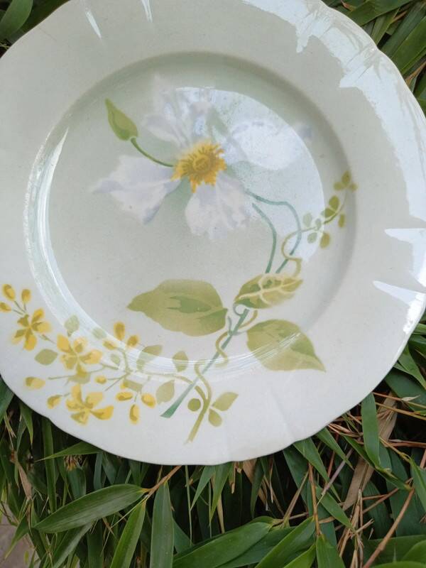 Pair of K&G Lunéville plates, Clématite model