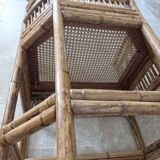 Rattan club chairs