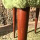 Green mmoute chair