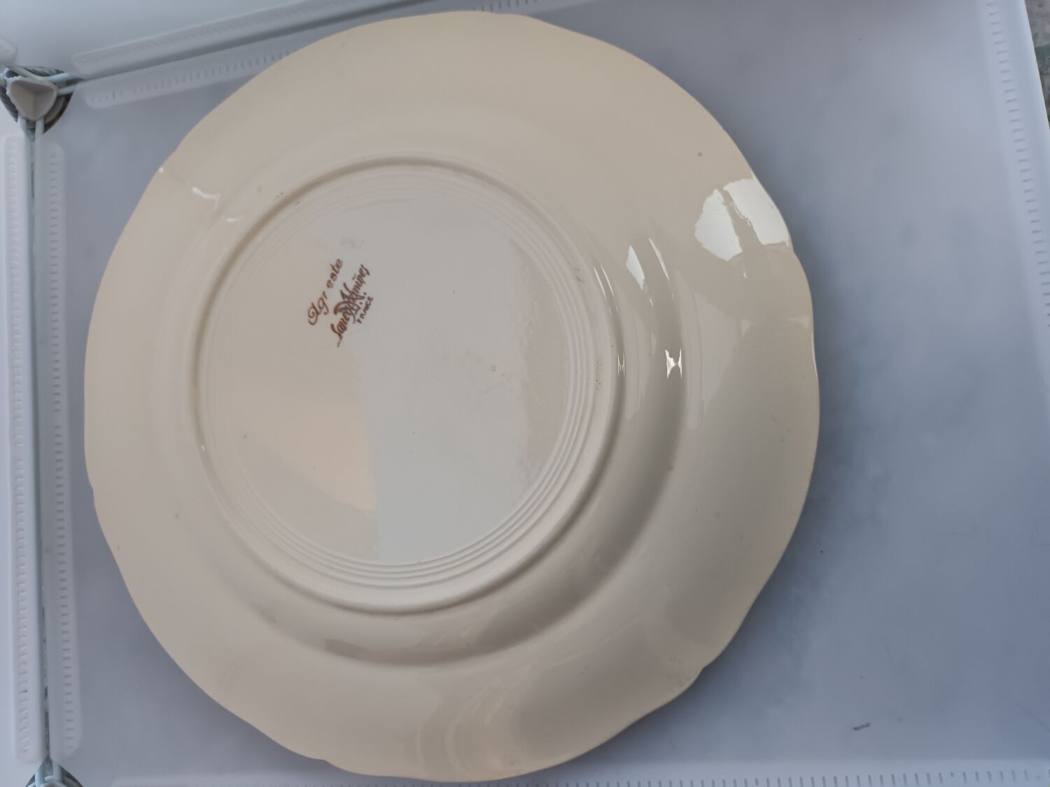 Dish of Sarreguemine