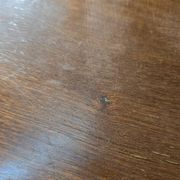Table basse du milieu du siècle
