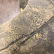 Antique bust Napoleon Bonaparte cast stone