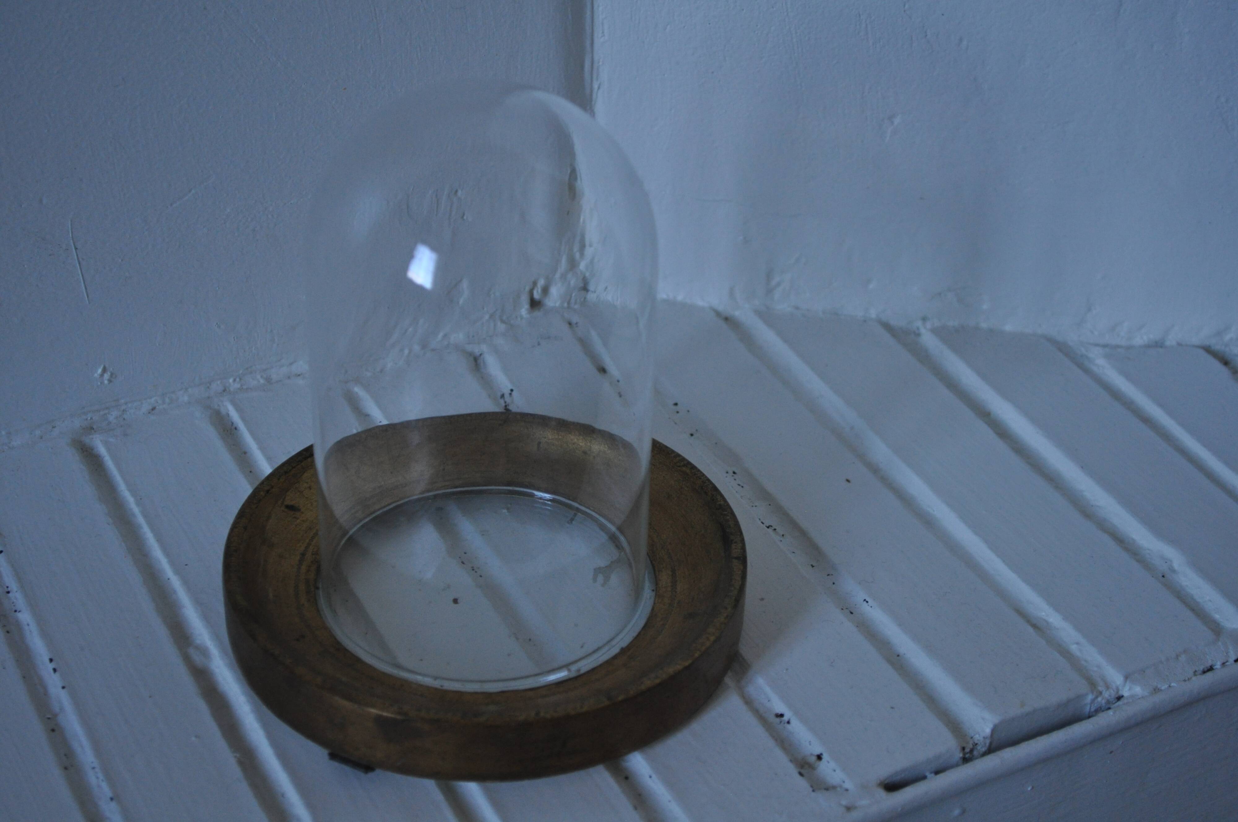 Cloche en verre avec support bois et verre