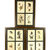 Set of 3 framed panels with 12 engravings from "Le Règne Animal" Georges