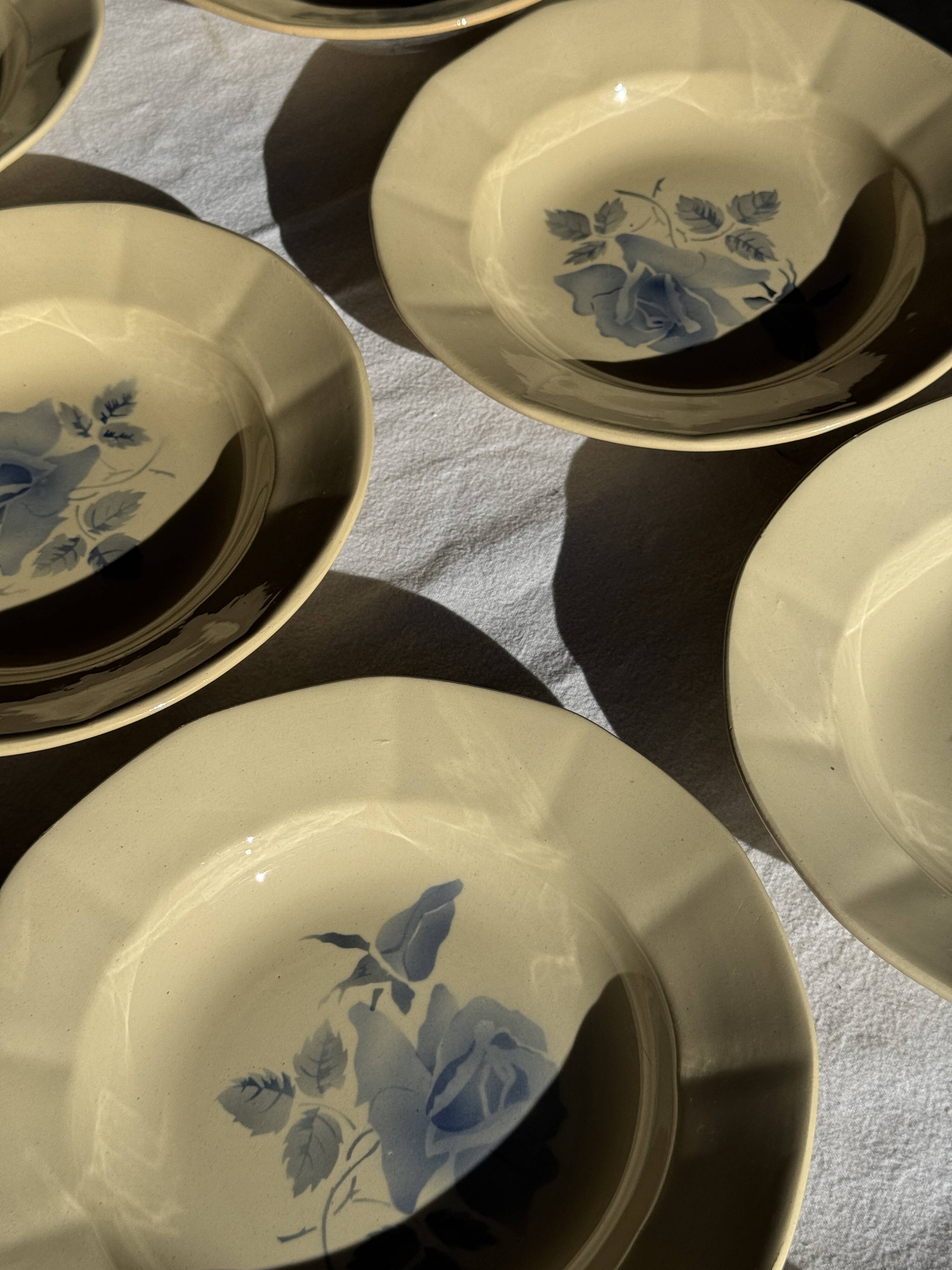 Set of 12 beige, pink, and blue deep plates from Digoin Sarreguemines, vintage.