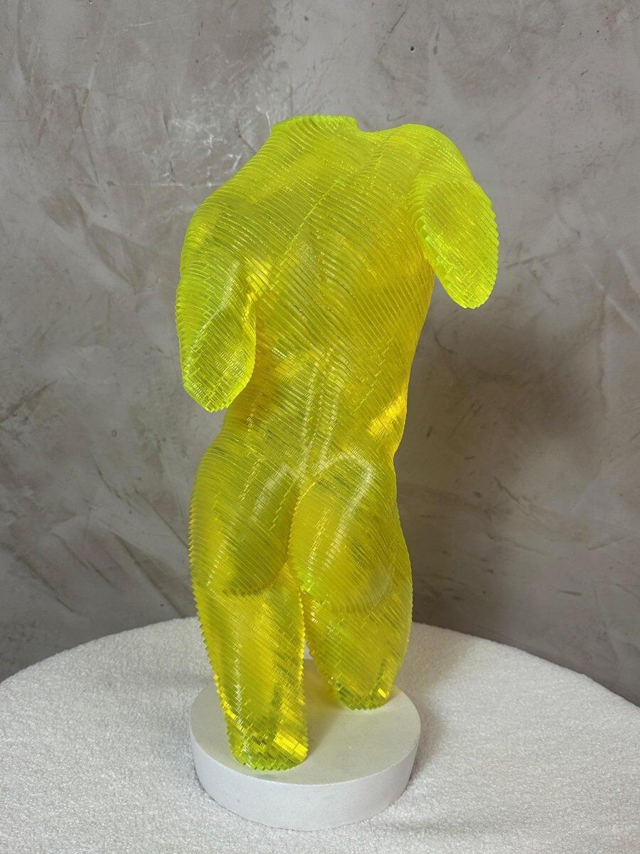 Acrylic male bust by Olivier Duhamel