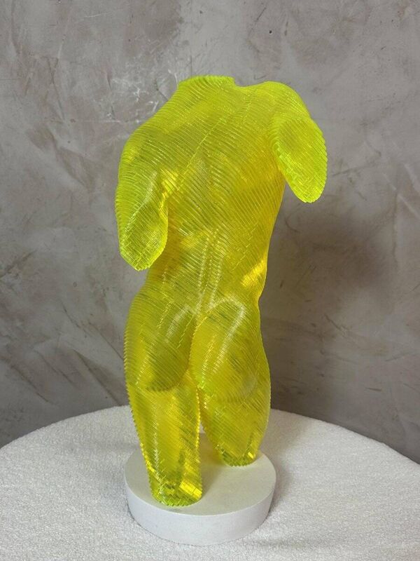 Buste Homme acrylique Olivier Duhamel