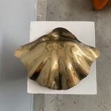 Empty clam pocket