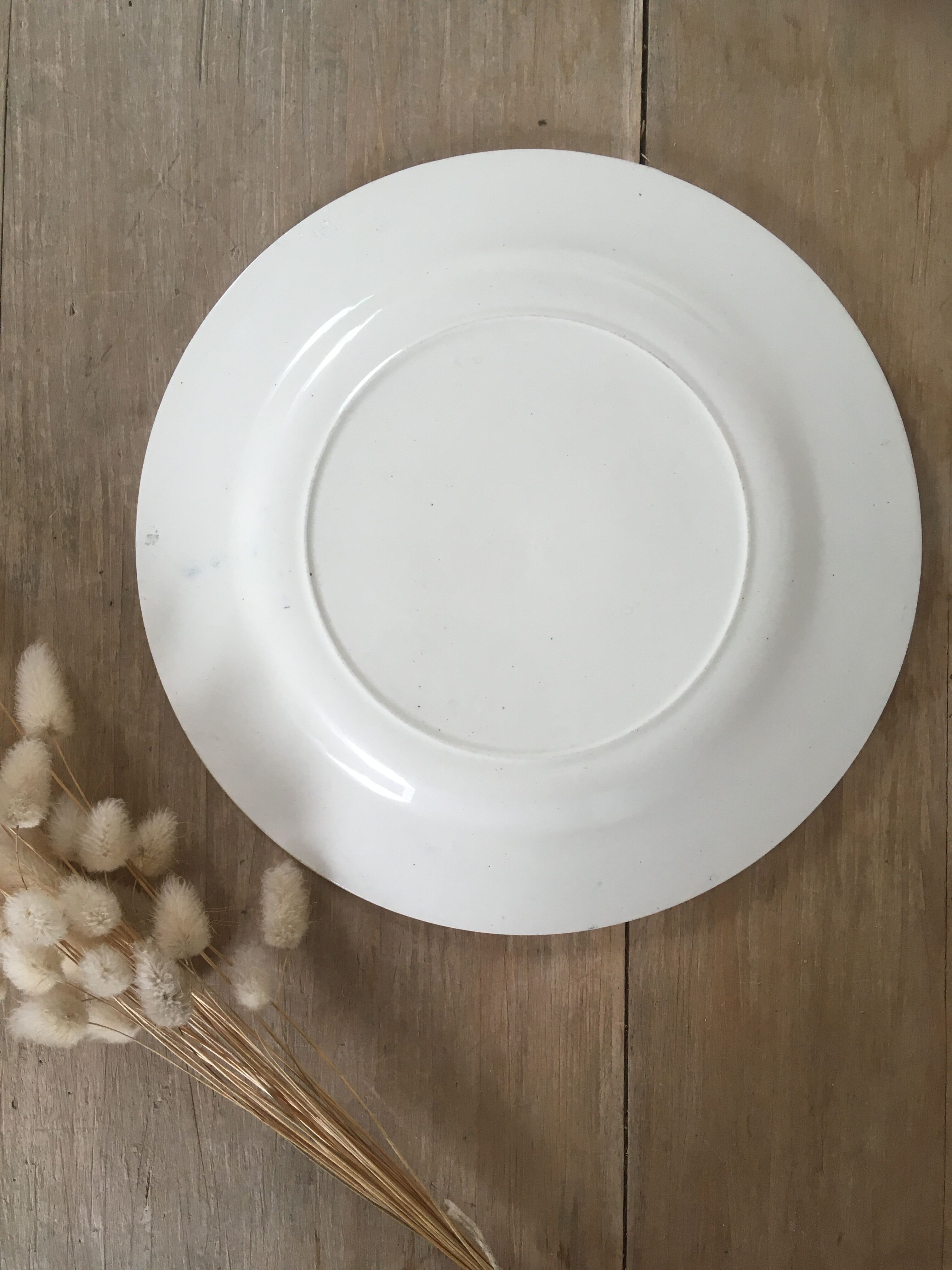 Pair of flat plates iron earth