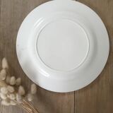 Pair of flat plates iron earth