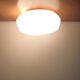 Ceiling or wall applique