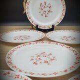 Set 6 flat plates Red and orange flowers