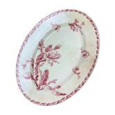 Dish oval porcelain of Gien model Cactus