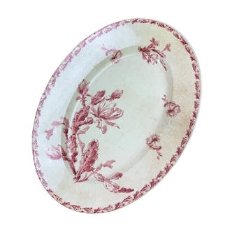 Dish oval porcelain of Gien model Cactus
