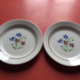Set of 10 flat plates
