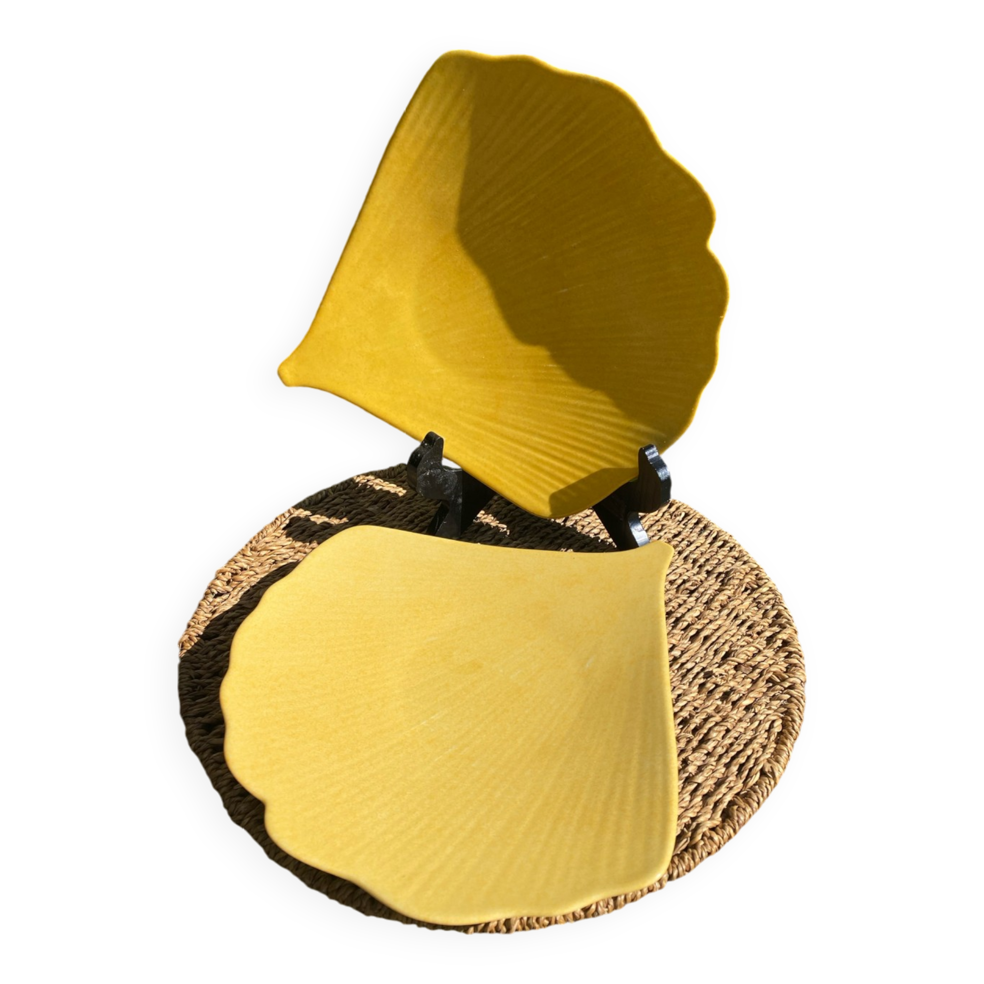 Limoges porcelain dishes