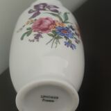 Limoges porcelain vase