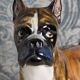 Porcelain Boxer Dog, Goebel, Germany, 1973