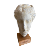 Antique plaster head