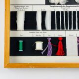 Vintage educational school display Cotton by Josef Galler, Germany, 1960s.