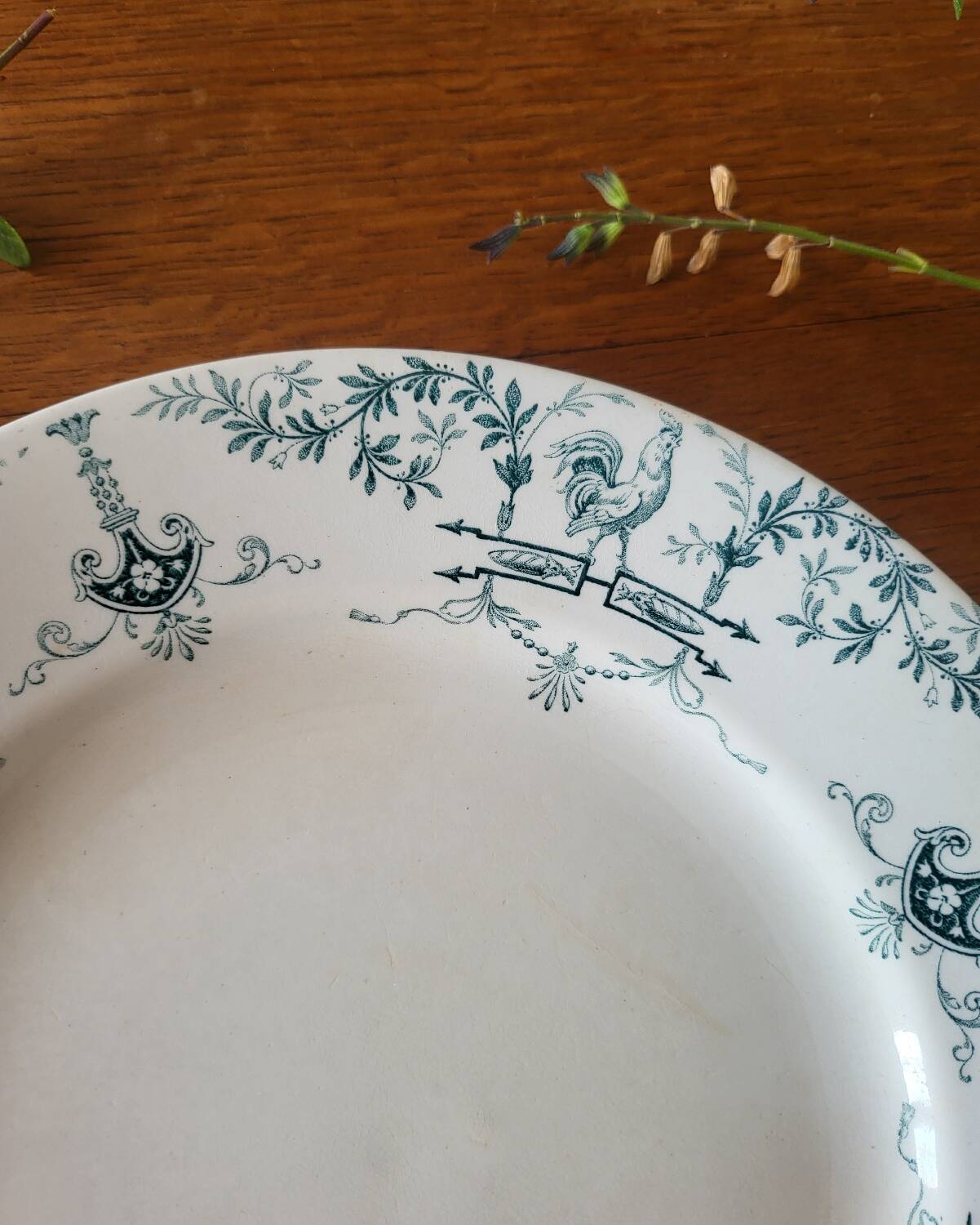 Old Earthenware Plate KG Lunéville model Brienne