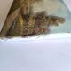 Antique oil painting. Country house - signed G. Monroe