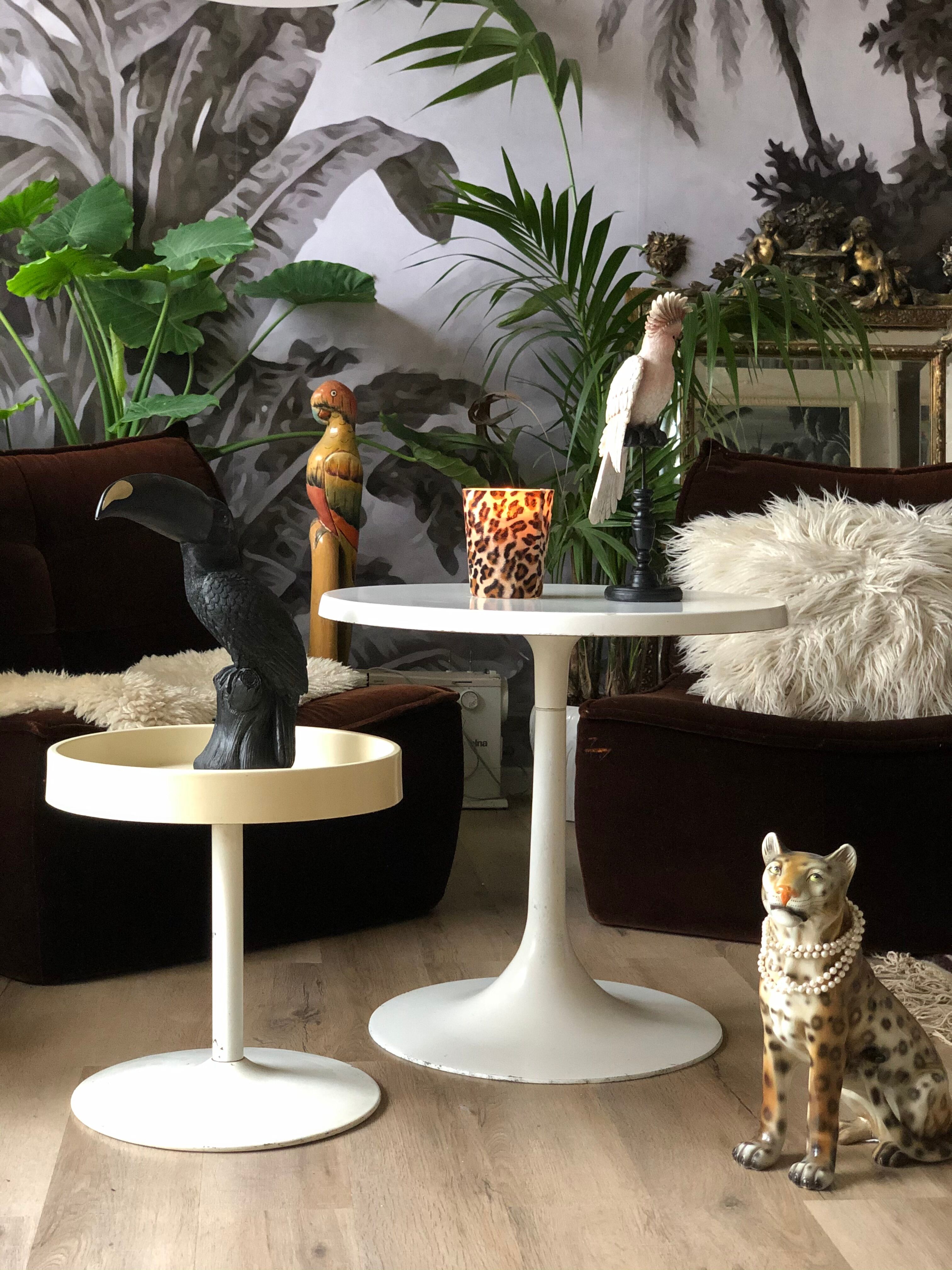 Tulip foot coffee table